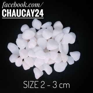 Sỏi trắng to (2 - 3 cm) trang trí hồ cá, chậu cây cảnh, terrarium, sân vườn