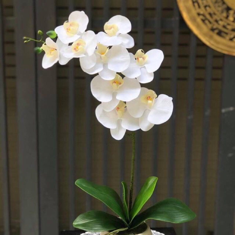 Cành hoa lan hồ điệp cao su 9 bông LOẠI SỊN, hàng đẹp và sẵn kho