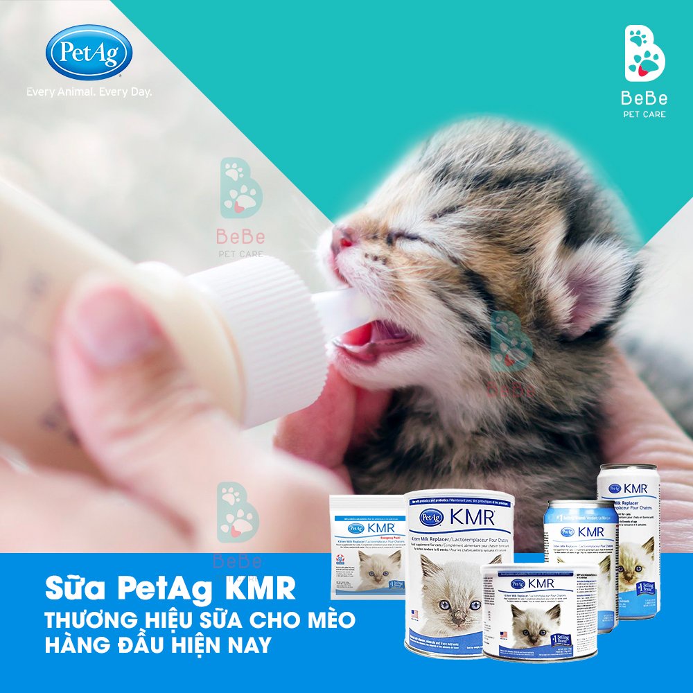 KMR Pet Ag USA - Sữa Bột &amp; Sữa Nước Cao Cấp Cho Mèo - Nhập Khẩu Chính Hãng