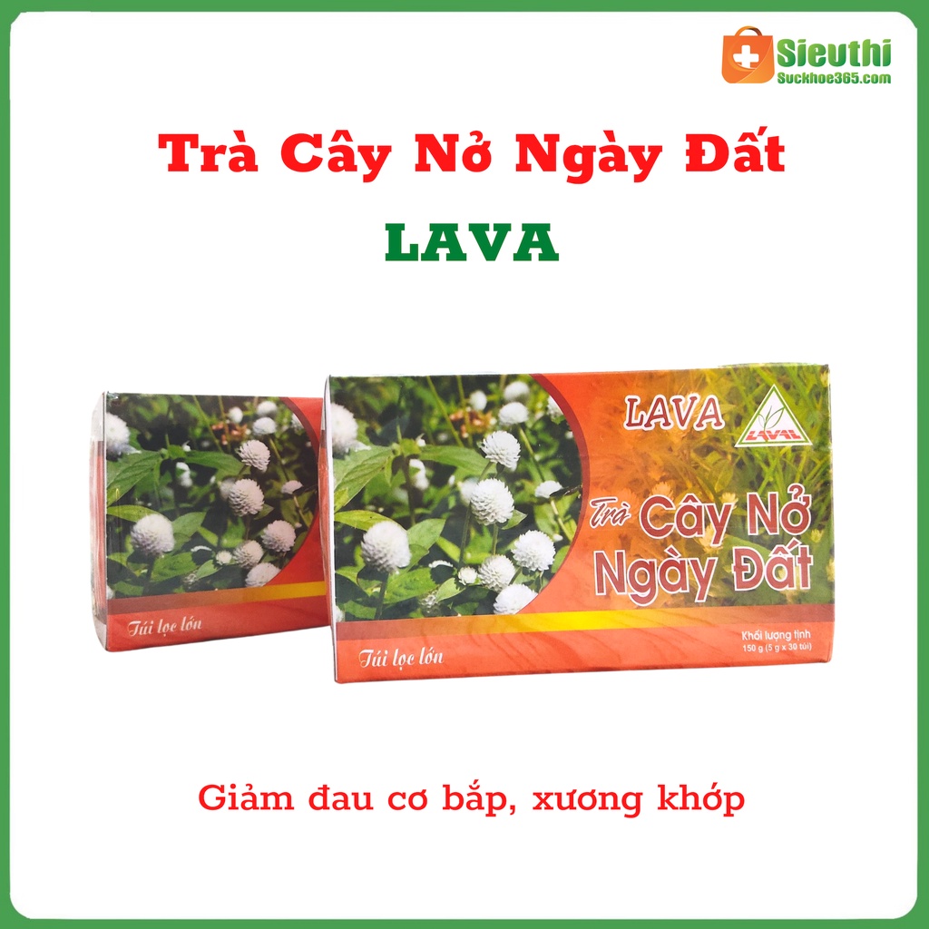 Trà Cây Nở Ngày Đất Túi Lọc, Hỗ Trợ Bệnh Gout, Xương Khớp