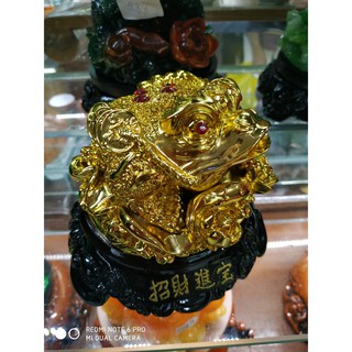Thiềm Thừ Đế Gỗ ( Ông Cóc )