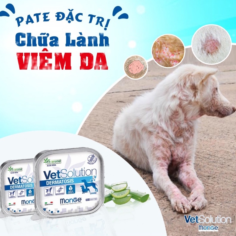 Pate Monge CHÓ Vet Solution Chăm Sóc Sức Khỏe (150g)