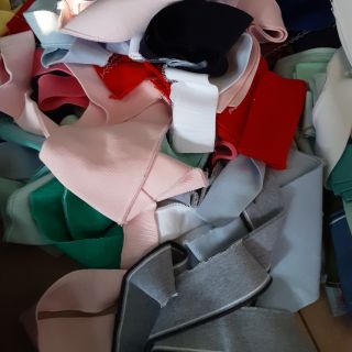 Bo cổ của hà