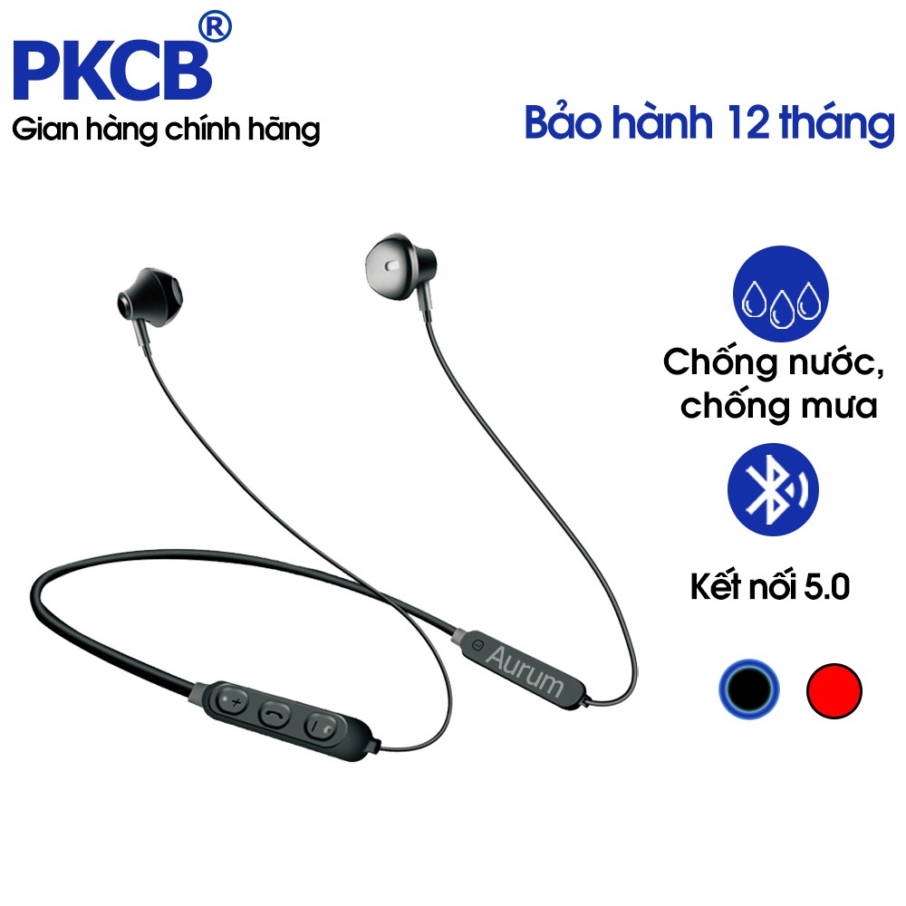Tai nghe nhét tai thể thao bluetooth PKCB07 - Hàng chính hãng