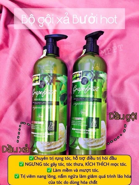 Cặp Dầu Gội Đầu Bưởi grapefruit 850ml | BigBuy360 - bigbuy360.vn