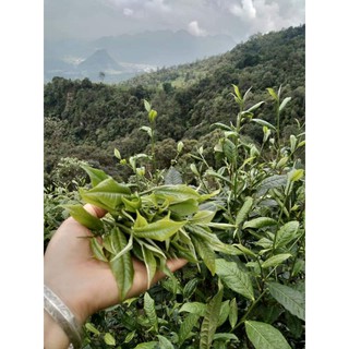 Trà san tuyết Hà Giang 200gr