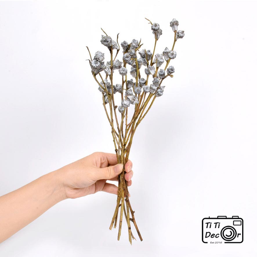 Bó Hoa Bạch Đàn Khô Decor TiTi Decor Cắm Bình Hoa Hoa Khô Trang Trí Phòng Khách Phong Cách Bắc Âu