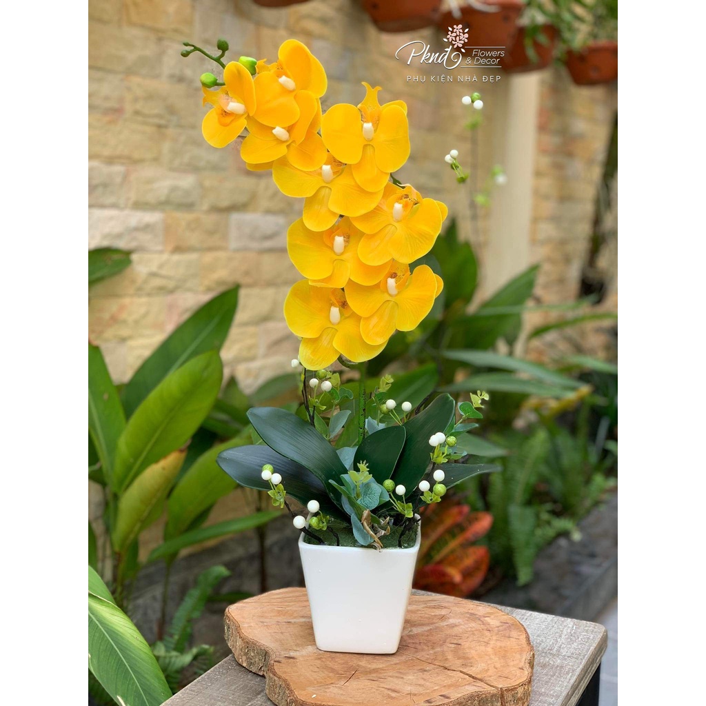 Chậu hoa giả lan hồ điệp chất cao su trang trí đẹp ( sản phẩm gồm cả chậu và hoa) PKND FLOWERS &amp; DECOR CH11