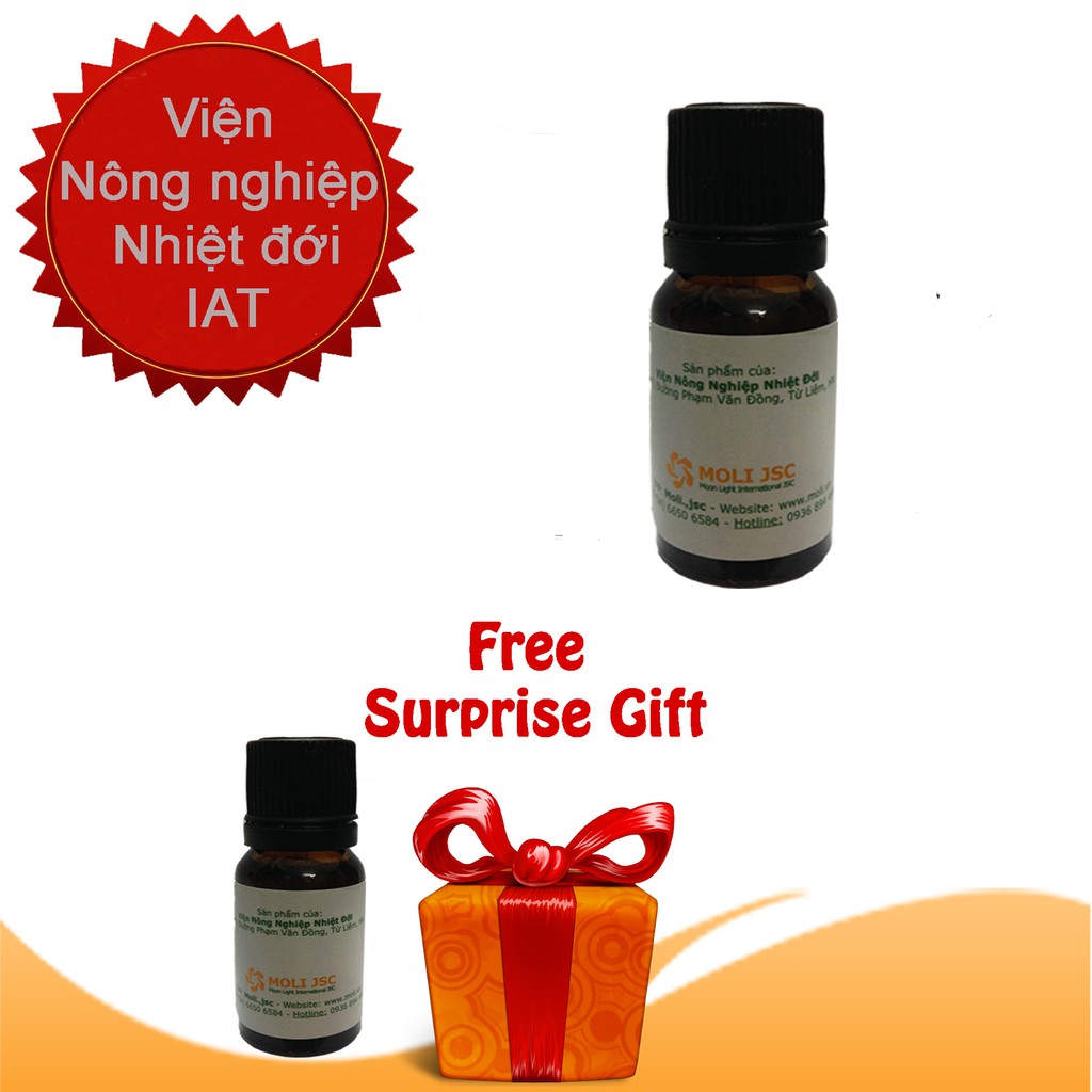 Tinh dầu khuynh diệp 10ml (Viện nông nghiệp nhiệt đới IAT)