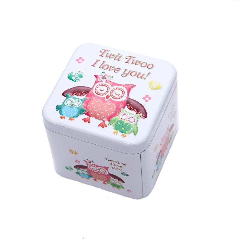 Hộp Thiếc Vuông Dập Nổi Họa Tiết Hoạt Hình Đựng Trang Sức Cho Bé