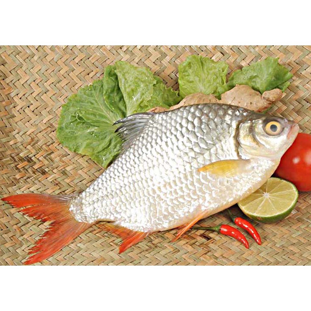 Thùng  Cá Mè Vinh kho lạt  - Antesco - Cá kho đóng hộp, thực phẩm đóng hộp ăn liền