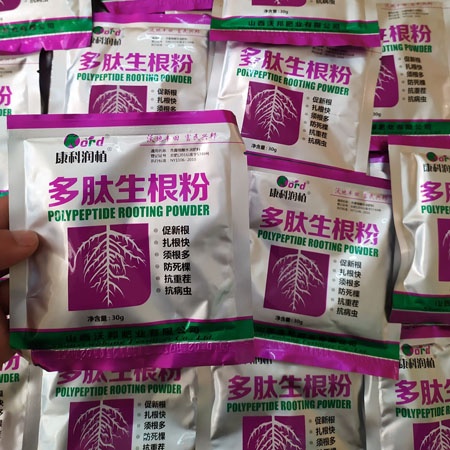 Siêu kích rễ - ươm cành dạng gói polypeptide rooting powder