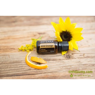 Tinh dầu Cam Rừng doterra Wild Orange 15mL