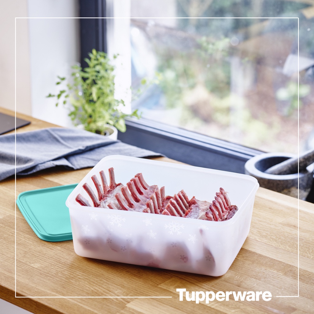 Bộ hộp trữ đông Tupperware Freezermate Gen II 5.7L
