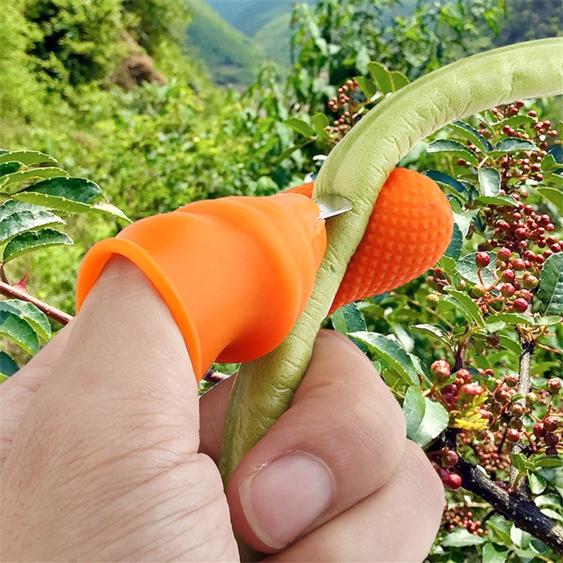 Bộ Móng Nhặt Rau Củ Quả Chống Bẩn Móng Tay, Ngón Cái Bấm Cắt Rau Củ - Nạo Gọt Tiện Lợi