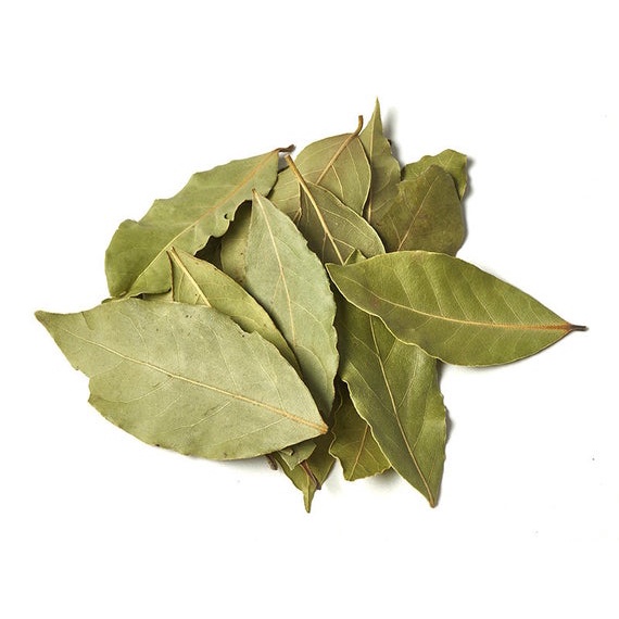 100g BAY LEAF (LÁ NGUYỆT QUẾ) | Làm Spell / Thực hành Witchcraft - Rituals / Gia vị món ăn | Ancient Magic by Ly Hỏa