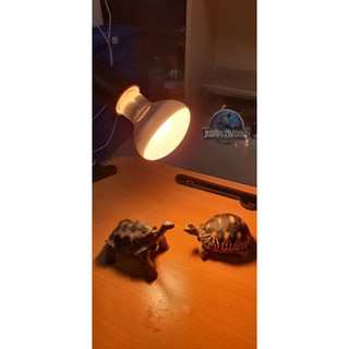 Bóng Đèn UVA 10.0 ( 75W ) - [ Sưởi cho Bò Sát, Chó, Mèo, Cá, Chuột ]