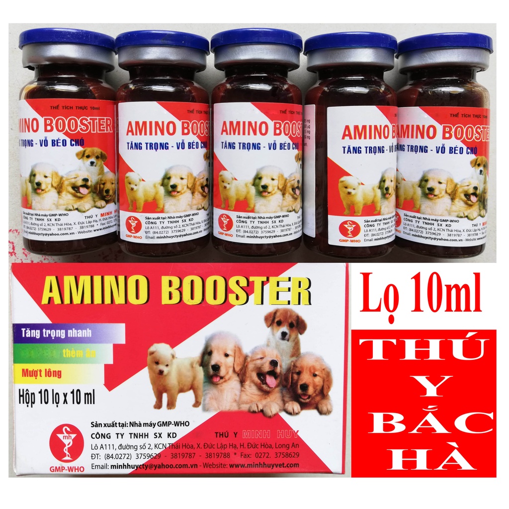 1 lọ A mi no 10 ml Chuyên dùng để vỗ béo cho chó, mèo