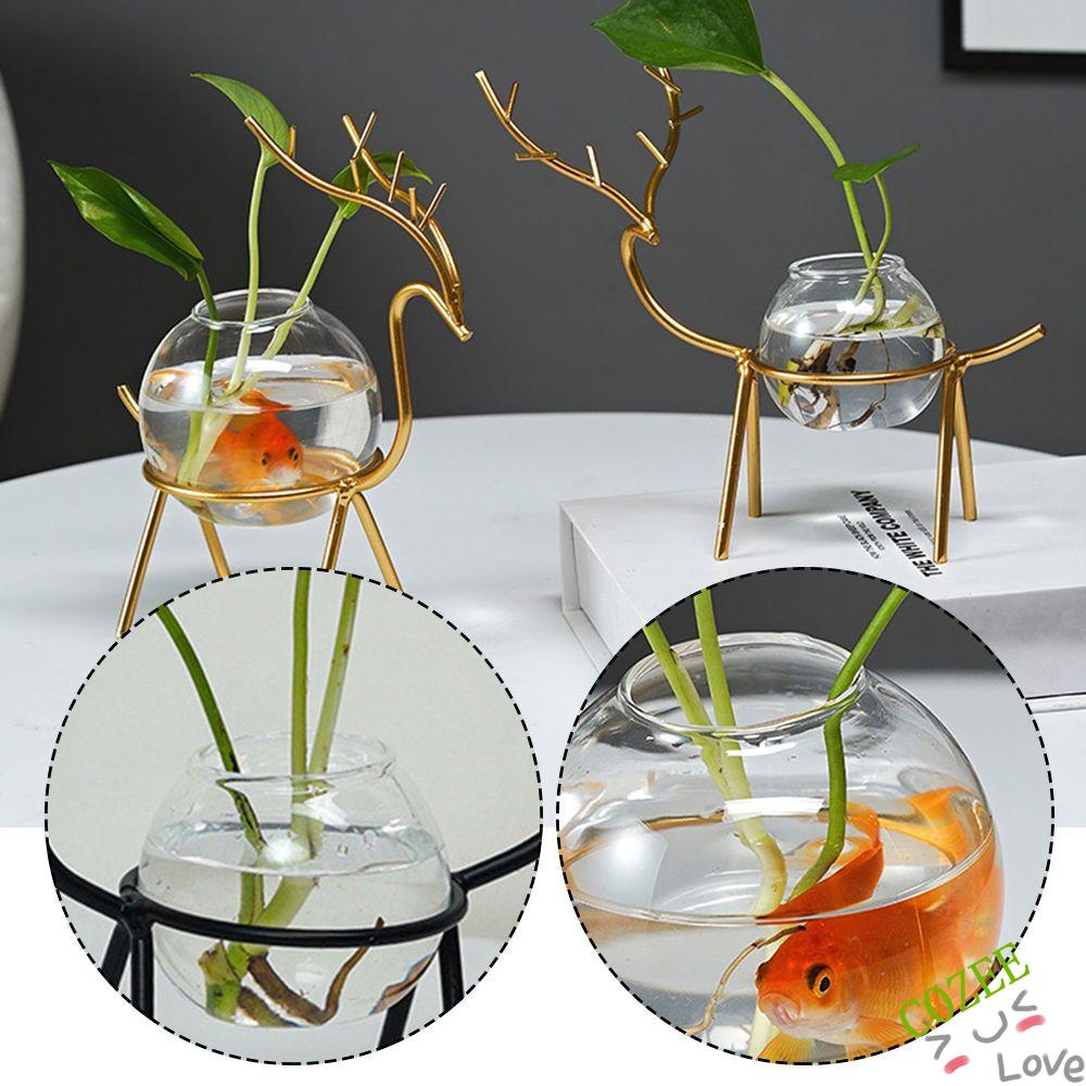 Chậu Cây Thủy Sinh Bằng Sắt Để Bàn Trang Trí