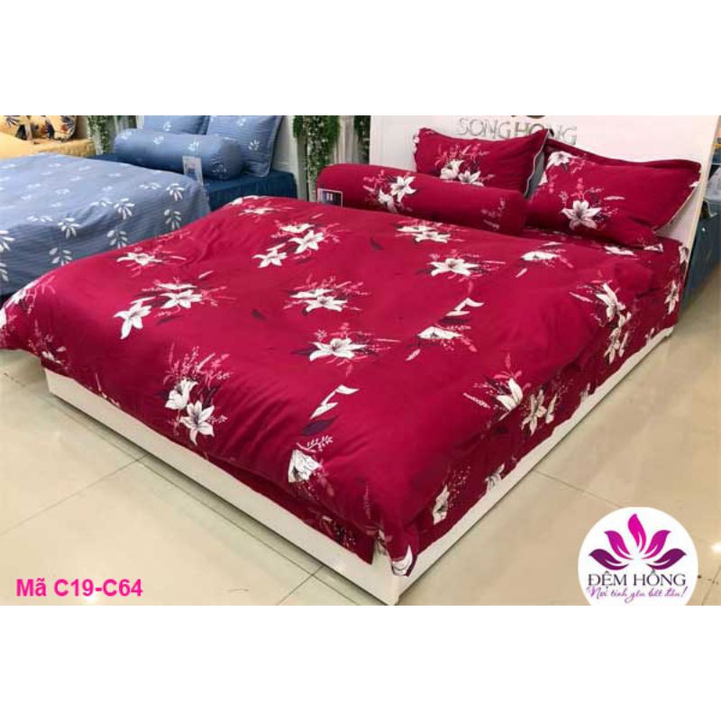 Chăn đông sông hồng chất cotton mẫu mới 2021