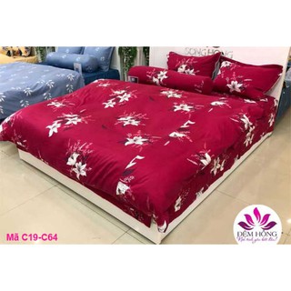 Chăn đông sông hồng chất cotton mẫu mới 2023