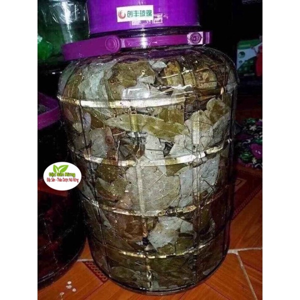 Lá Dâm Dương Hoắc Khô  Bổ Thận - Đặc Sản rừng