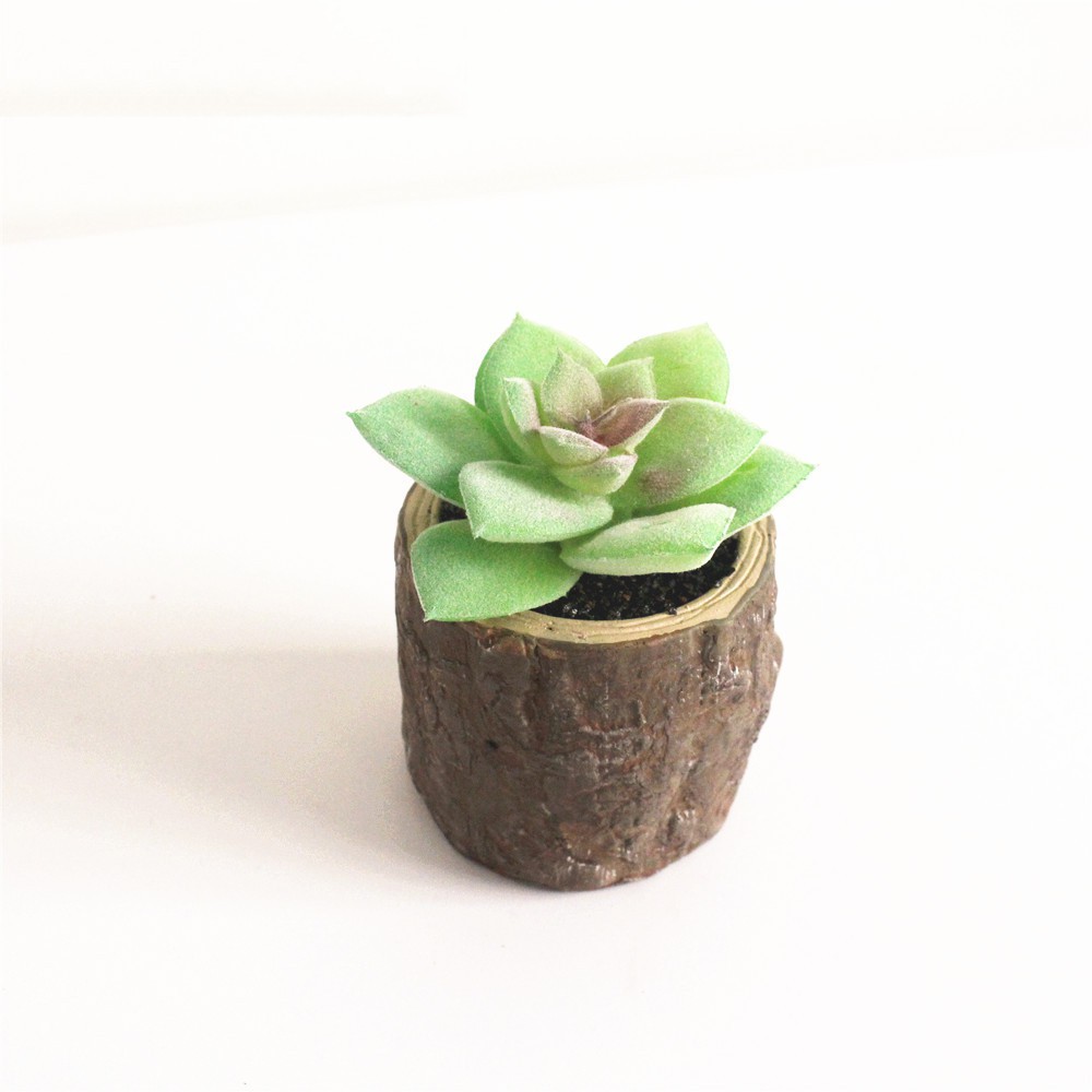 Cây Sen Đá mini nhân tạo Wooden Pot cao 12-15 cm tặng kèm chậu Concrete giả gỗ