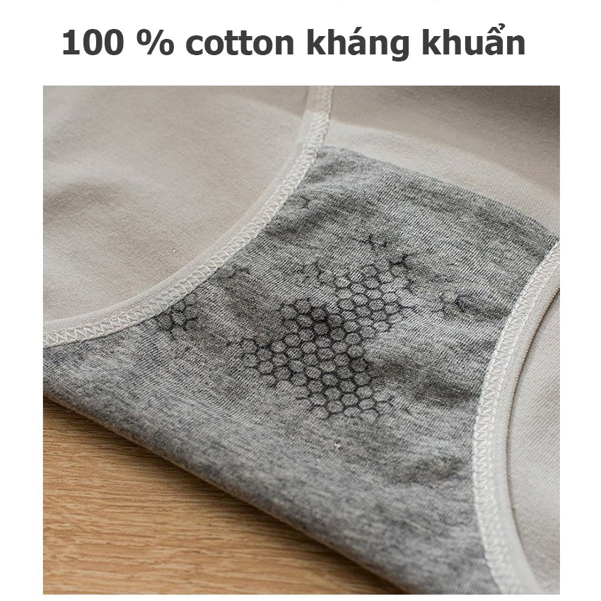 Quần lót cao cấp HUNA quần lót cotton kháng khuẩn thấm hút mồ hôi NH04 thun lạnh cao cấp thoáng mát nâng mông sexy mềm N