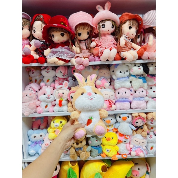 Gấu bông 25cm đến 30cm