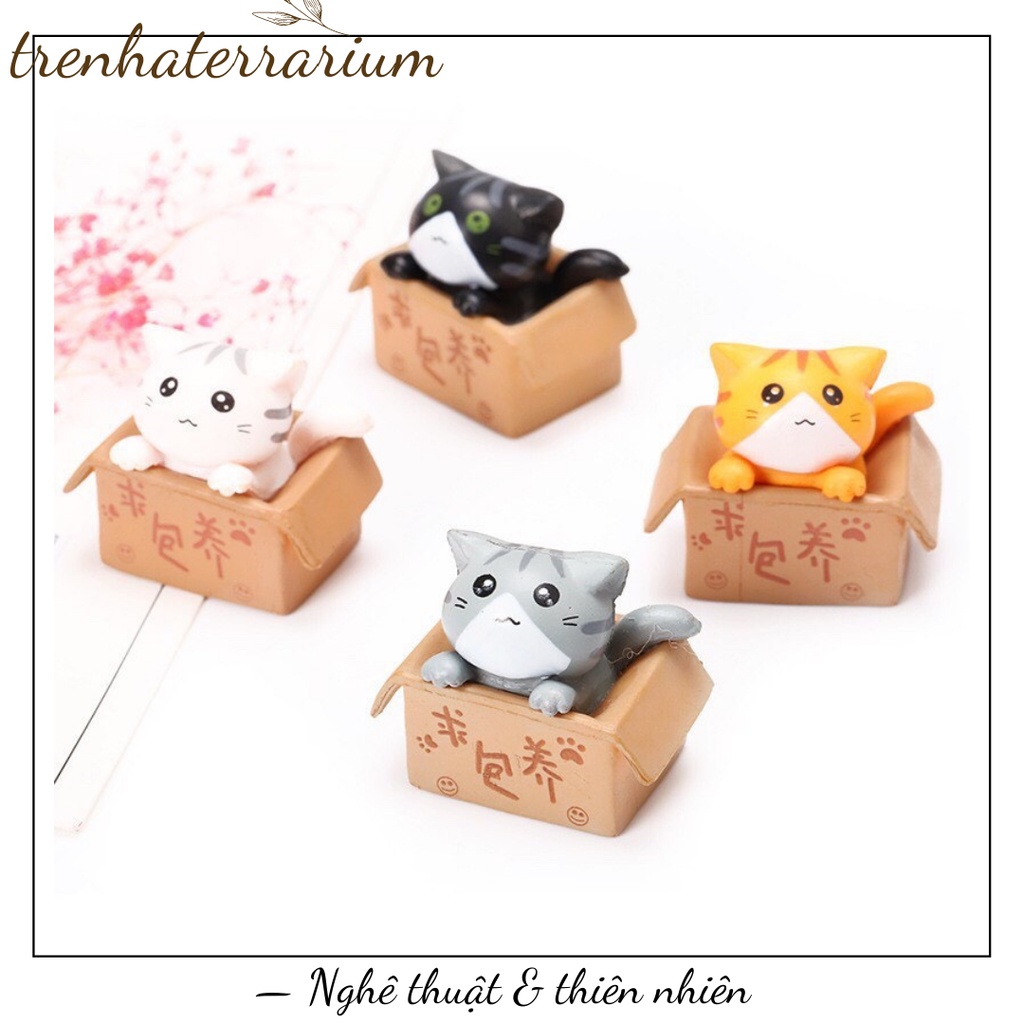 Tiểu cảnh mèo ngồi hộp trang trí sen đá, xương rồng, terrarium, charm slime, cây cảnh mini, cây để bàn, đồ trang trí