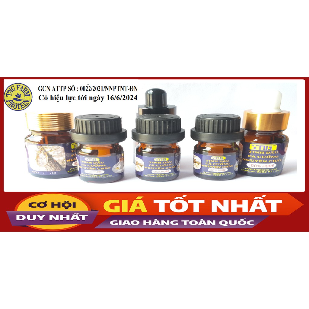 TINH DẦU [Mã TNGF01 NHẬN NGAY 10K] Cà cuống đực 100% nguyên chất - 2bọng. | BigBuy360 - bigbuy360.vn