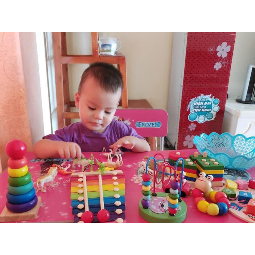 Đồ Chơi Gỗ Montessori,Tổng Hợp Các Món Đồ Chơi Phát Triển Trí Tuệ,Rèn Luyện Tư Duy Cho Bé