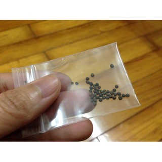 HẠT GIỐNG BẮP CẢI TÍ HON TÍM