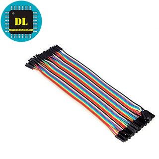 Dây cắm cái-cái 20cm