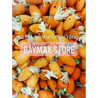 Cà rốt gỗ mini mài răng dành cho Hamster, Thỏ, Bọ, Sóc, Fat tail, Dumbo, Rat