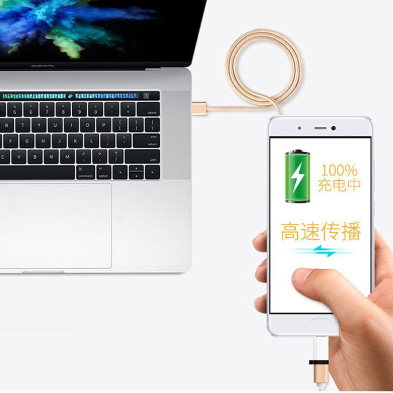 Đầu Chuyển Đổi Usb 3.1 Type C Sang Micro Usb