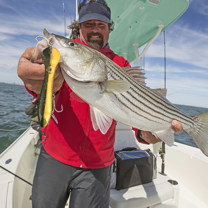 QQ Bộ Mồi Câu Cá Giả Bằng Silicon Mềm Kèm 16 Lưỡi Câu Chuyên Dụng