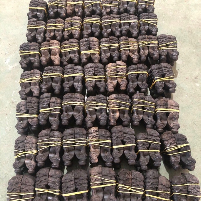 Chân quỳ mun