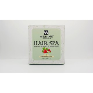 HẤP DẦU HAIR SPA WELLMATE