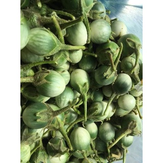 Cà Đắng Tây Nguyên  ( 1kg)