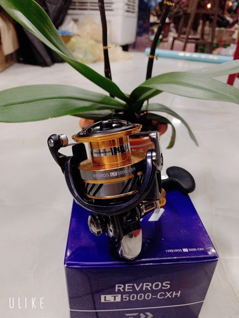 máy câu DAIWA Revros LT 6000 máy cực khoẻ y hình