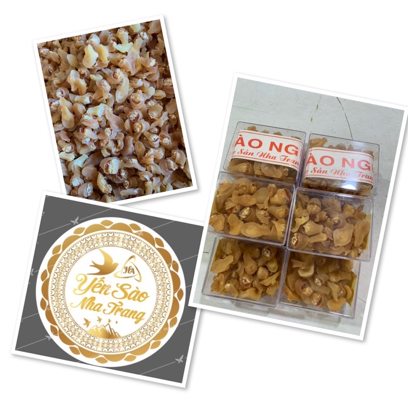 Bào ngư khô100g