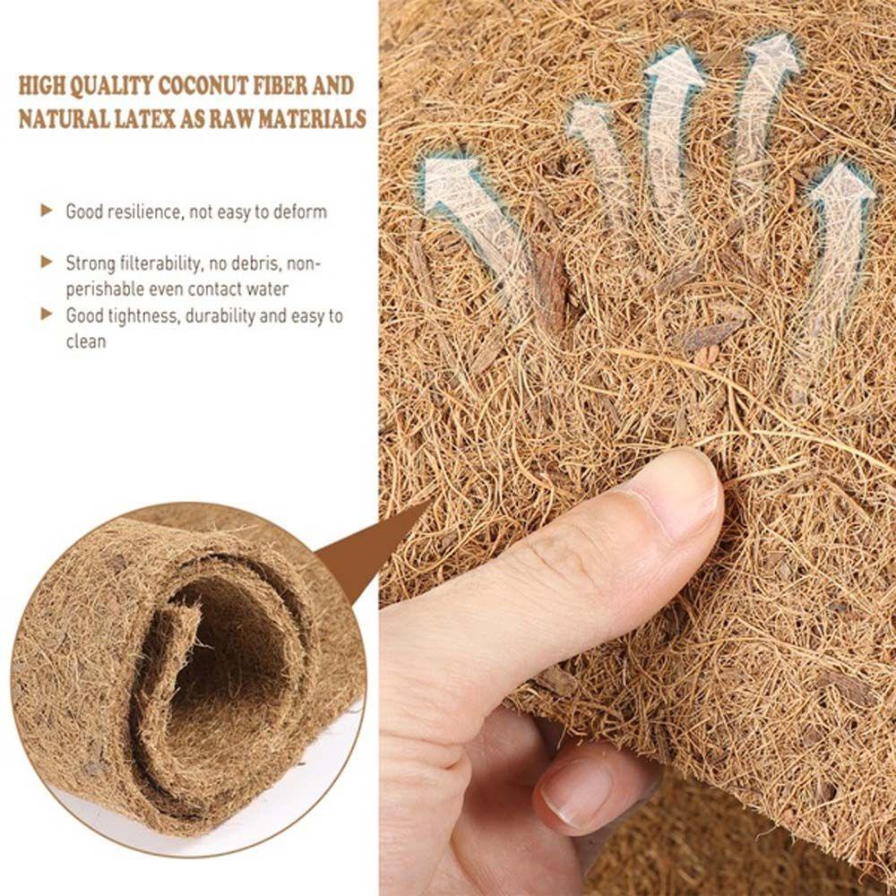 Thảm Sợi Dừa Tự Nhiên Cho Bò Sát