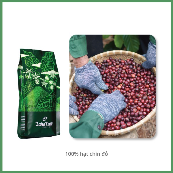 Cà phê Blend Coffee gói 250g, kết hợp Arabica và Robusta nguyên chất, rang mộc, pha phin từ Laha Cafe