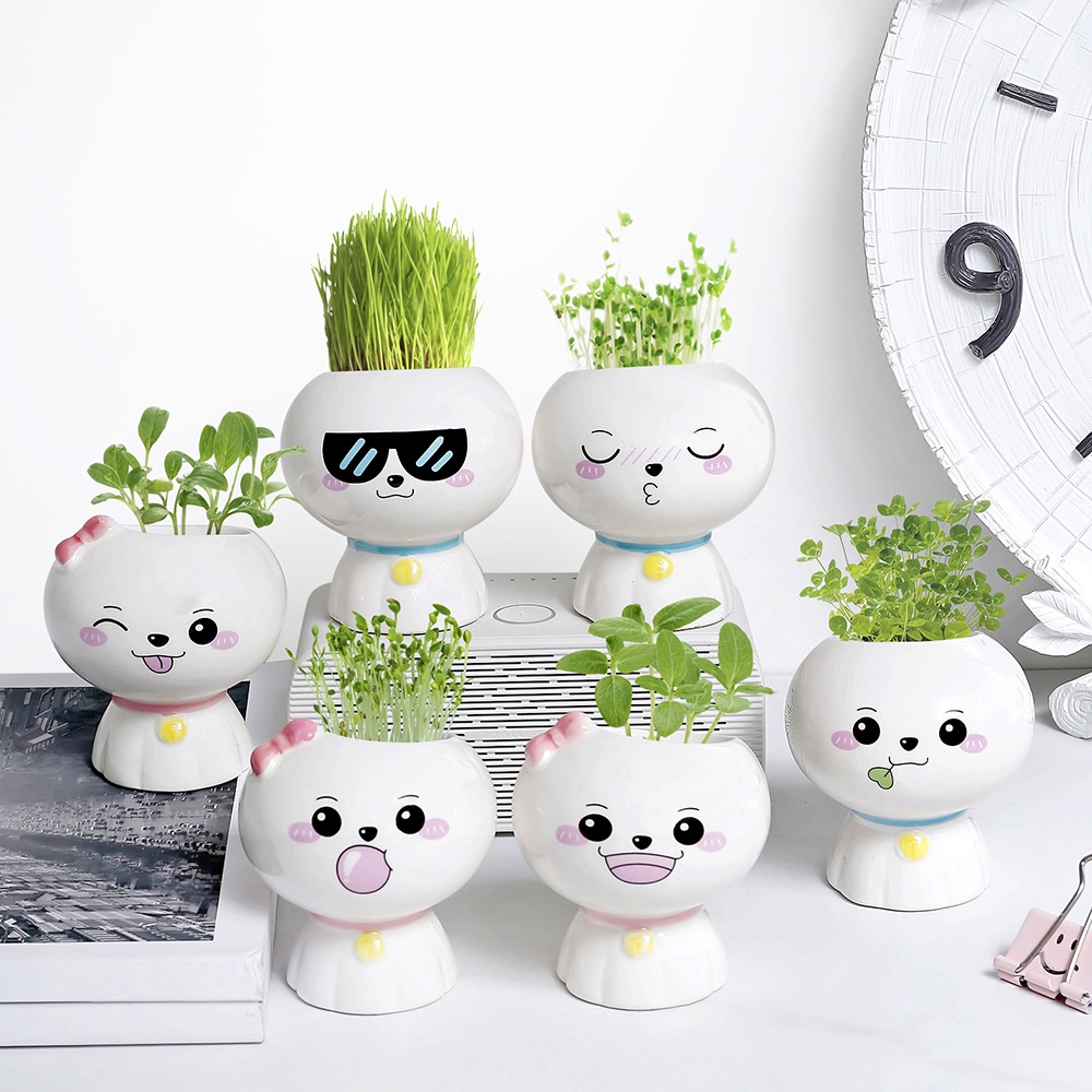 Chậu cây mini để bàn sunny doll