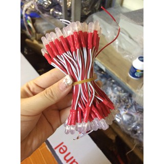 LED RUỒI 5MM 5V (BÓ 100 BÓNG)