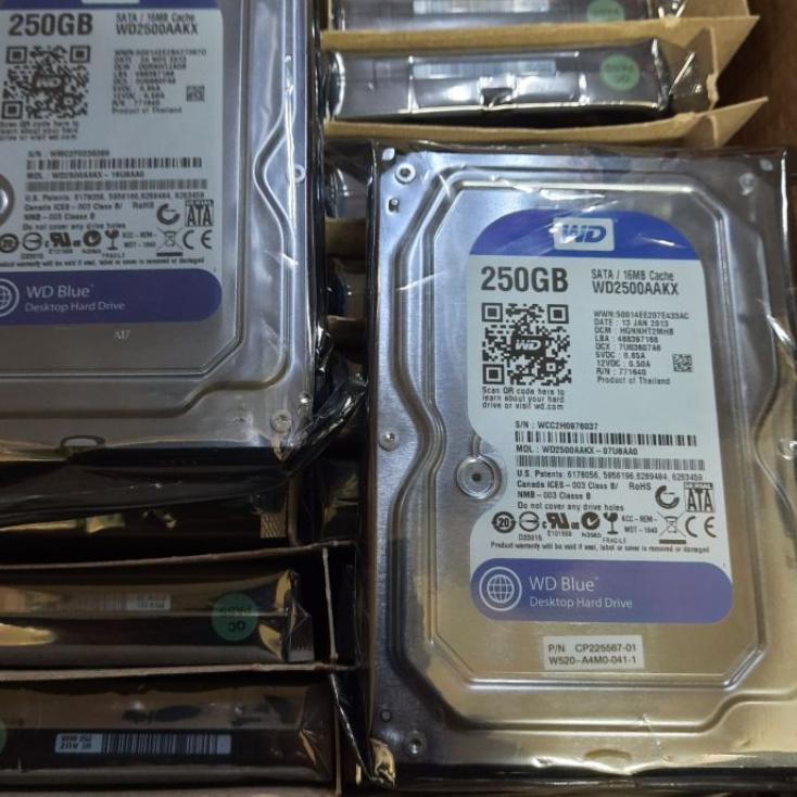 Ổ Cứng Gembira 250gb sata | BigBuy360 - bigbuy360.vn