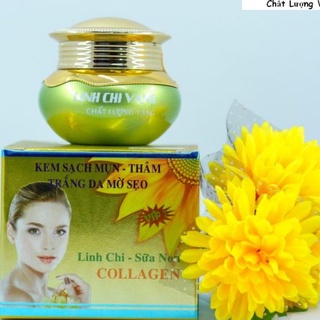 Kem sạch mụn thâm, trắng da, mờ sẹo linh chi vàng 20g