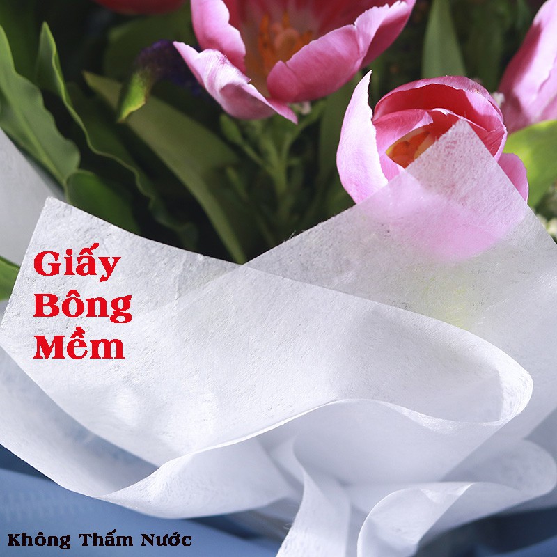 GIẤY GÓI HOA - BÔNG MỀM