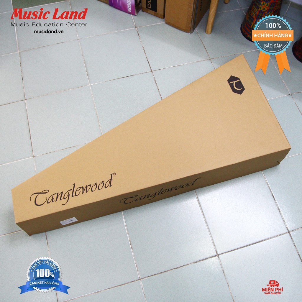 Đàn Guitar Acoustic TangleWood TWR2-DCE – Chính hãng